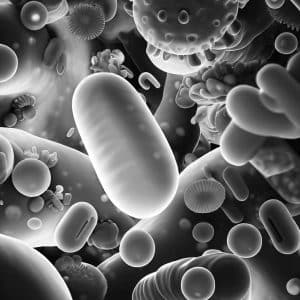 antimicrobiens