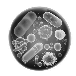 resistance antimicrobien