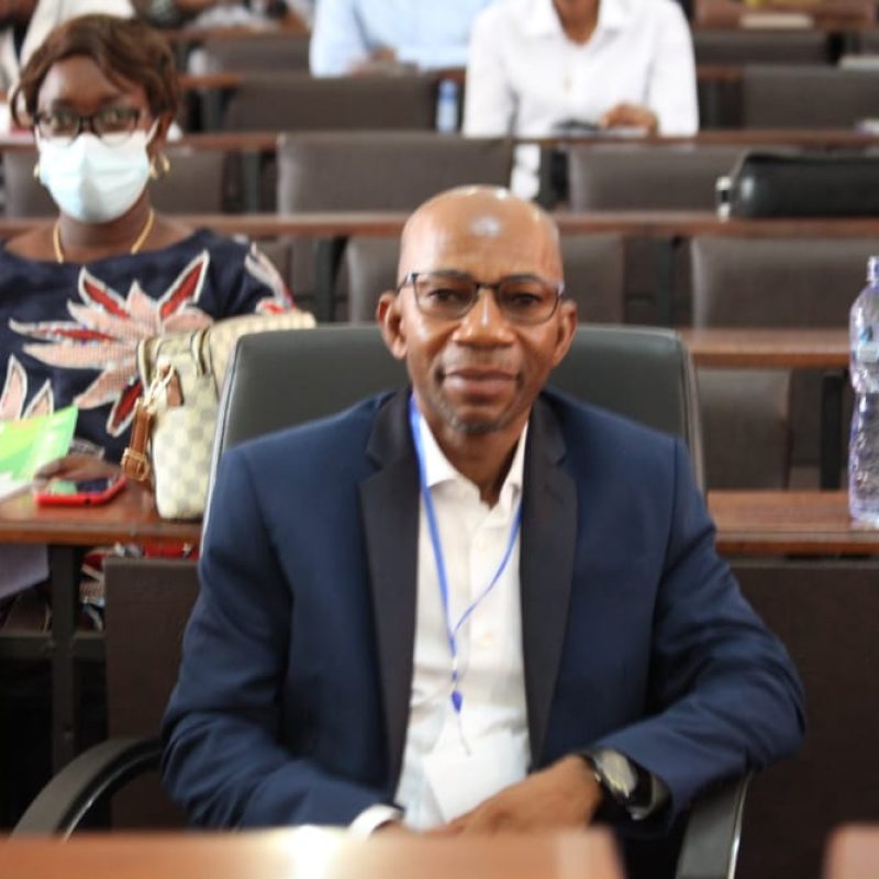 professeur jean marie liesse cursram